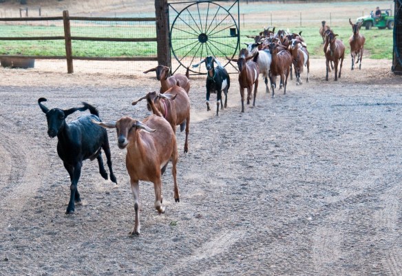 Photo Credit: Dan Harper 