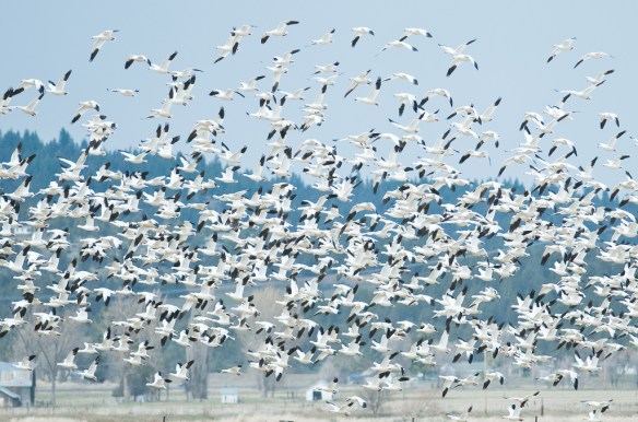      Photo Credit: Dan  Harper (my brother!)